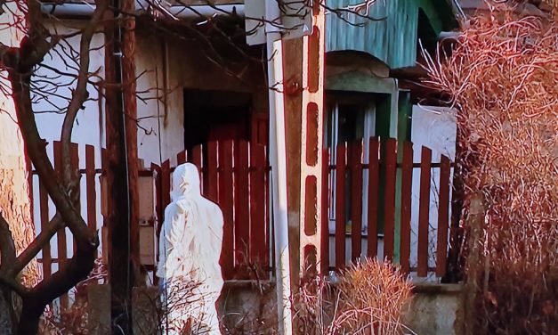 Megszólalt a tatabányai családi tragédiában meghalt kisfiúk nagymamája