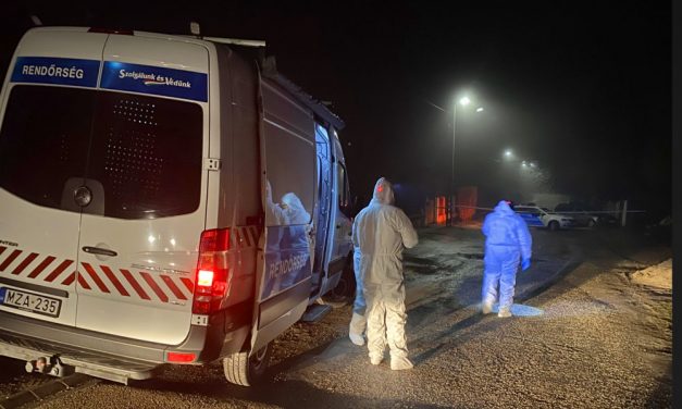 Két holttestet találtak egy budapesti házban, egy nagymama és fia halt meg