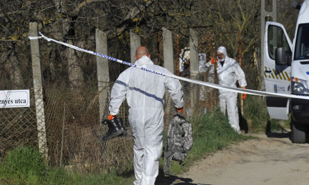 A gyilkosság után a fűbe törölte a véres kést – Életfogytiglant kértek a budapesti sorozatgyilkosra