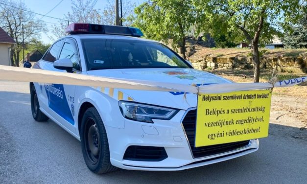 Saját testvérét szúrta mellkason egy 26 férfi