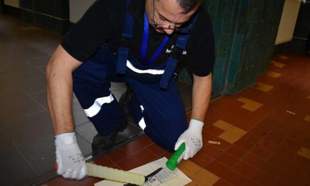 Hazamehetett a börtönből az a győri diák, aki tanárára támadt