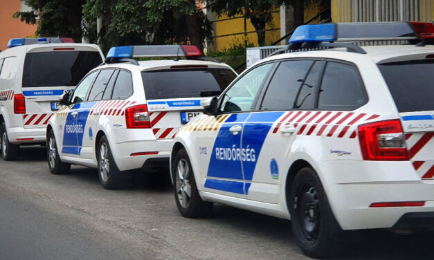 Emberi csontokat találtak a földbe ásva Budapesten, ellepték a rendőrök a környéket