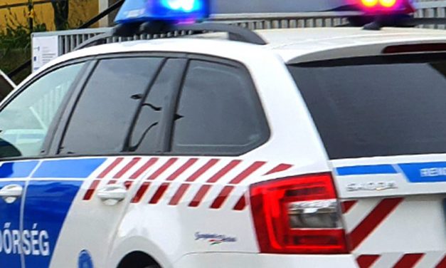 „Ez a család nem tönkrement, hanem megszűnt”: korhadt fa dőlt rá egy autóra Dombóváron, négyen életüket vesztették, mégsem találtak felelőst