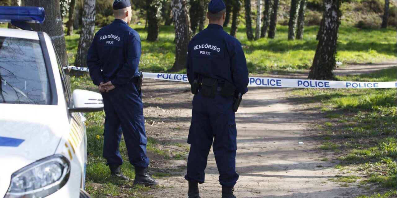 Kilenc év börtönre ítélték az élettársát megfojtó pécsi férfit