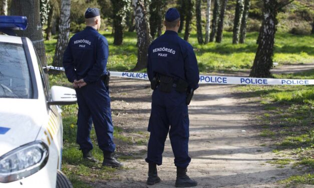Kilenc év börtönre ítélték az élettársát megfojtó pécsi férfit