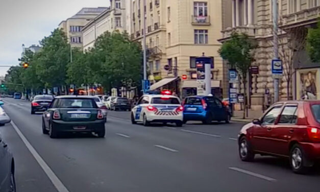 Kitüntették a hős pizzafutárt, aki megállította a rendőrök elől menekülő férfit