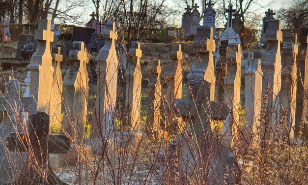 Döbbenetesen kegyeletsértő módon tárolják az elhunytakat a szentendrei halottasházban (18+)