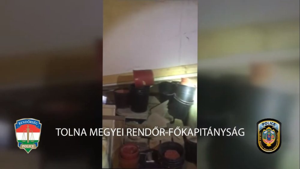 Pincében termesztették a kábítószert, mindent tagadnak