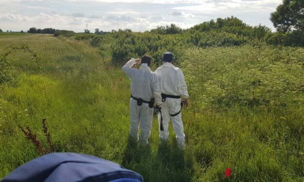 Titokban szülte meg, majd megölte csecsemőjét egy nő: 2016-ban már megtette ugyanezt, de csak most elítélték el