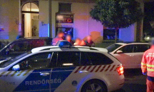 „Takarodjatok innen, különben meg fogtok halni” – ezt üvöltötte egy férfi a rendőröknek, miközben a baltáját a feje felett lóbálta. Figyelmeztető lövés után, sokkolóval kellett ártalmatlanítani