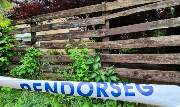 Embertelen elkövetők: az éjszaka közepén raboltak ki egy idős házaspárt Móron – a 94 éves férfit és feleségét kabáttal akarták megfojtani