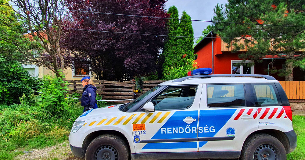 Unokaöccse végezhetett szilveszter délutánján a 70 éves asszonnyal Fülöpön, fel akarta gyújtani a nő házát, hogy eltüntesse a nyomokat