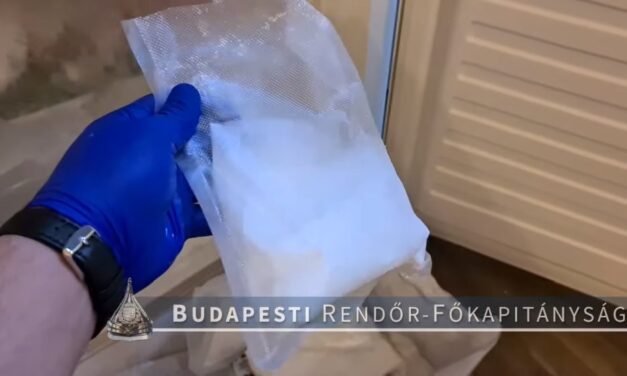 Hárommillió forintot érő amfetamint találtak a rendőrök egy erzsébetvárosi párnál