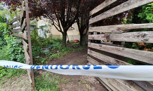 Pátyi horrorház: Megszólalt egy igazságügyi patológus, közben elmeorvosi vizsgálat vár a testrészeket hazacipelő férfire