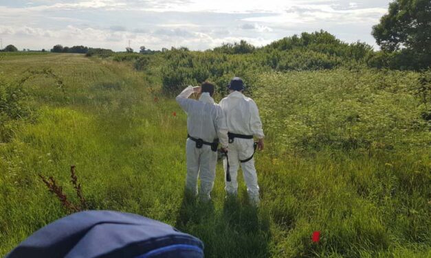 Titokban szülte meg gyermekét az asszony, a csecsemő holttestét a szántóföldön találták meg – újabb részletek