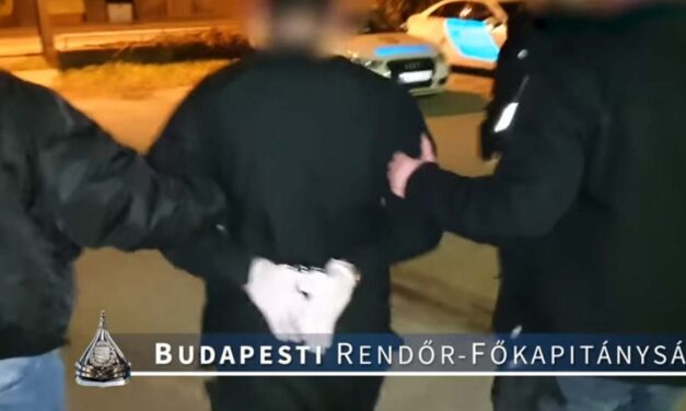 Tényleges életfogytiglant kaphat az a férfi, aki gyerekei szeme láttára végzett egy édesanyával a 10. kerületben