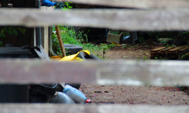 „Apámnak ez fáj a legjobban” – kiakadt a szomszédokra a pátyi boncmester fia