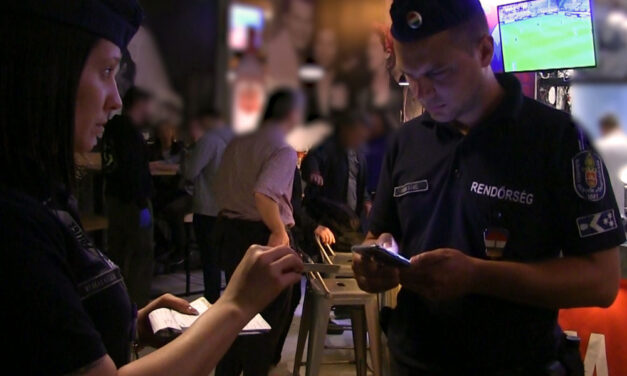 Razziáztak a rendőrök a budapesti éjszakában