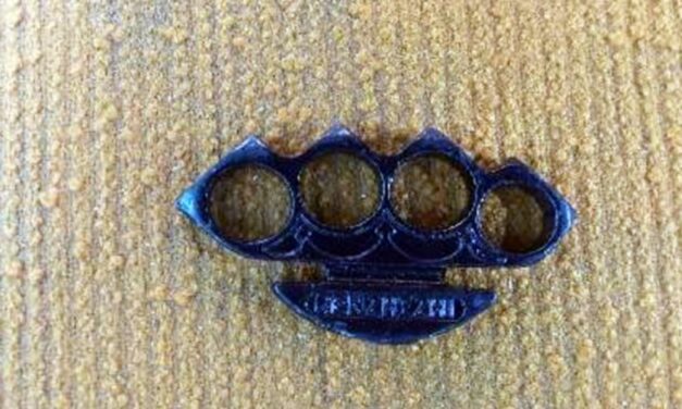 Boxerrel rabolta ki 15 éves társát ez a kiskunhalasi fiatal