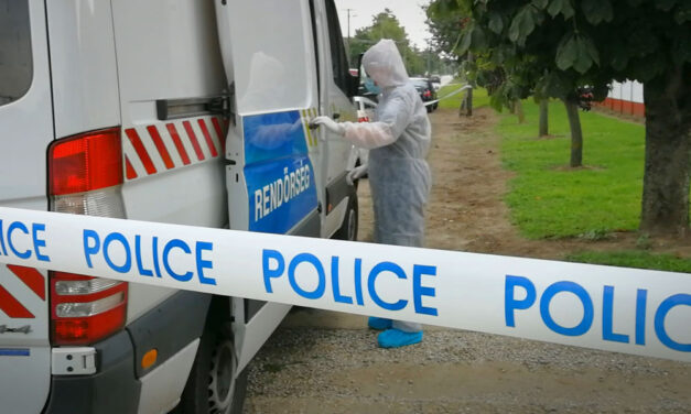 Új részletek a csorvási gyilkosságról: Több lehetett köztük, mint anya fia kapcsolat