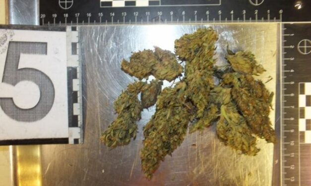 Kábítószerrel kereskedtek Tapolcán – Ez vár most rájuk