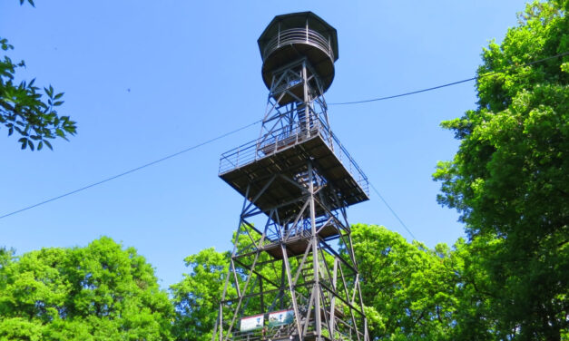 Kiesett a 25 méter magas kilátóról: meghalt a 20 éves férfi