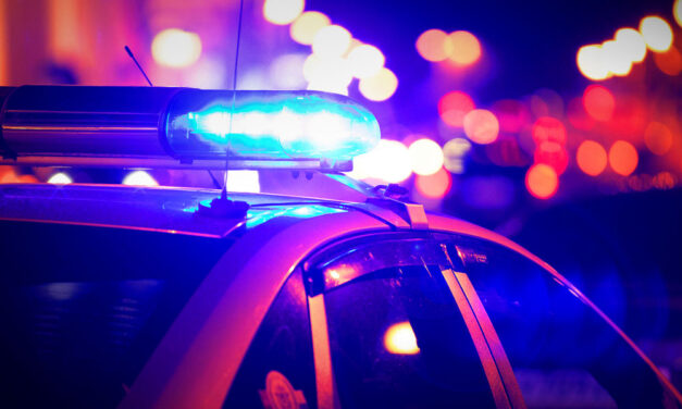 Bébicsősznek csapott fel a budapesti zsarupáros, amíg a hanyag anya ezt csinálta