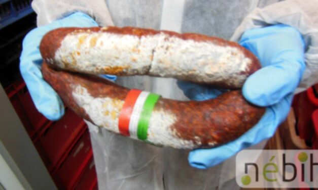 360 kg élelmiszert vontak ki a forgalomból – különösen súlyos esetre bukkantak a fővárosban az élelmiszerbiztonsági felügyelők