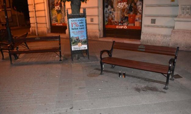 Verekedtek, rongáltak péntek hajnalban Győr belvárosában, a rendőrök elfogták a részeg férfiakat