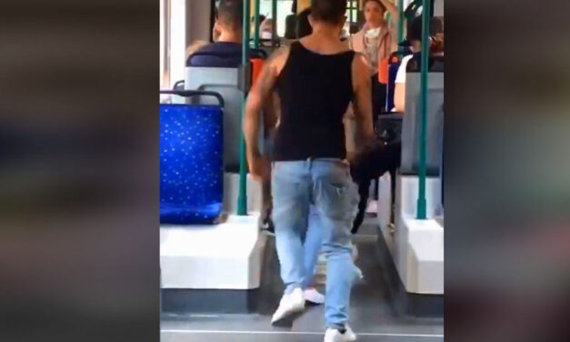 „Segítség, meg fogok halni” kiabálta a megkéselt fiú a 28-as villamoson, a gyilkosság egyik vádlottja ma beismerte bűnösségét