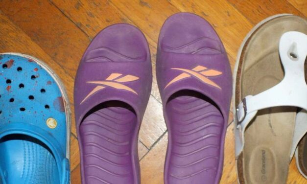 Piti bűnöző: a teraszon hagyott papucsot és fűnyírót lopott a férfi