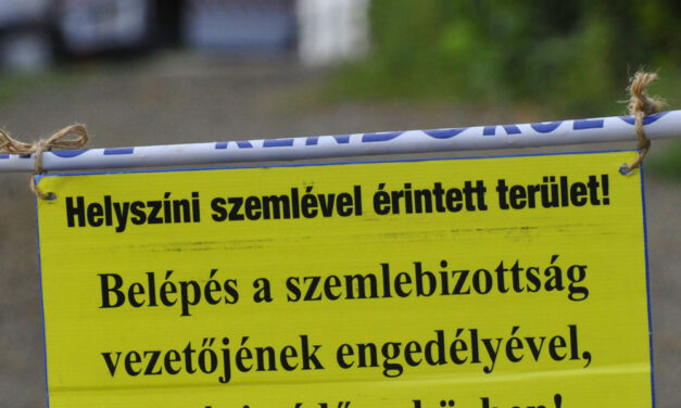 Kegyetlen gyilkosság történt Csornán, a rendőrség hajtóvadászatot indított az elkövető után
