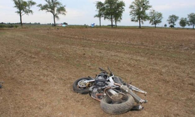 Vadbaleset: egy nap alatt két súlyos ütközés történt szarvasbőgés miatt