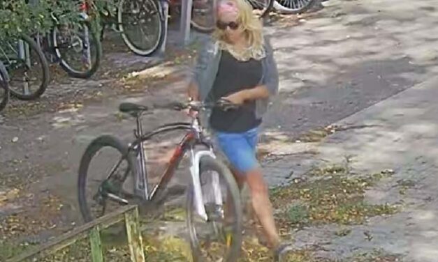 A csinos szőke eltolta a biciklit: a kerékpár azonban nem az övé volt