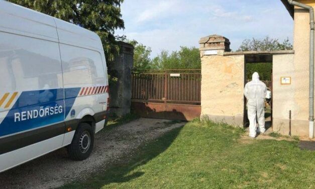 Megölte édesanyját, majd kistestvérére támadta a szkizofrén férfi