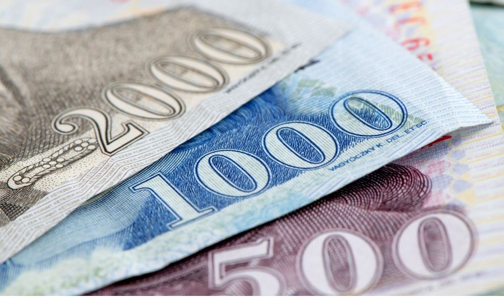 130 önkormányzatot vert át nem létező kiadványokkal egy 65 éves férfi