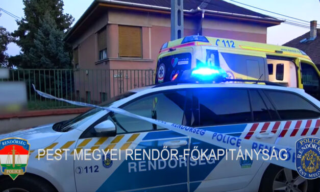 Éles eszközzel támadt volt feleségére és annak élettársára egy férfi Budapesten, a nő életveszélyes állapotban van