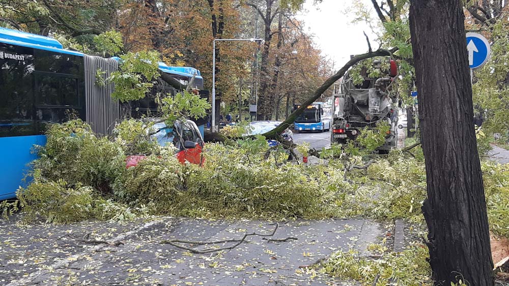 Budán egy betonkeverő tehergépkocsi szinte kitépte a vadgesztenyefát a helyéből, amely két autóra és egy BKV-buszra dőlt