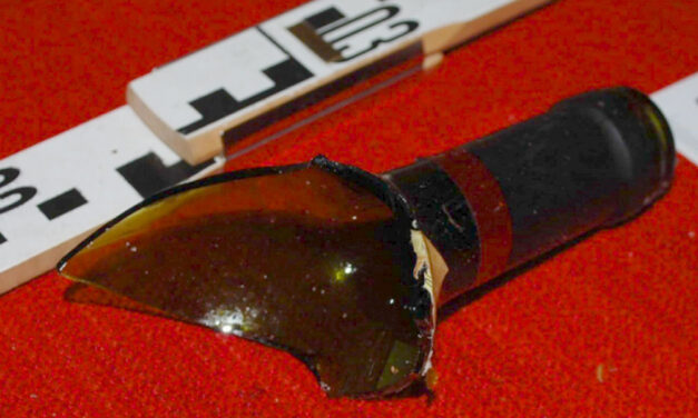 Botokkal verték egymást a szülinapi partin a testvérek, aztán üveggel hasba szúrta az egyik a másikat