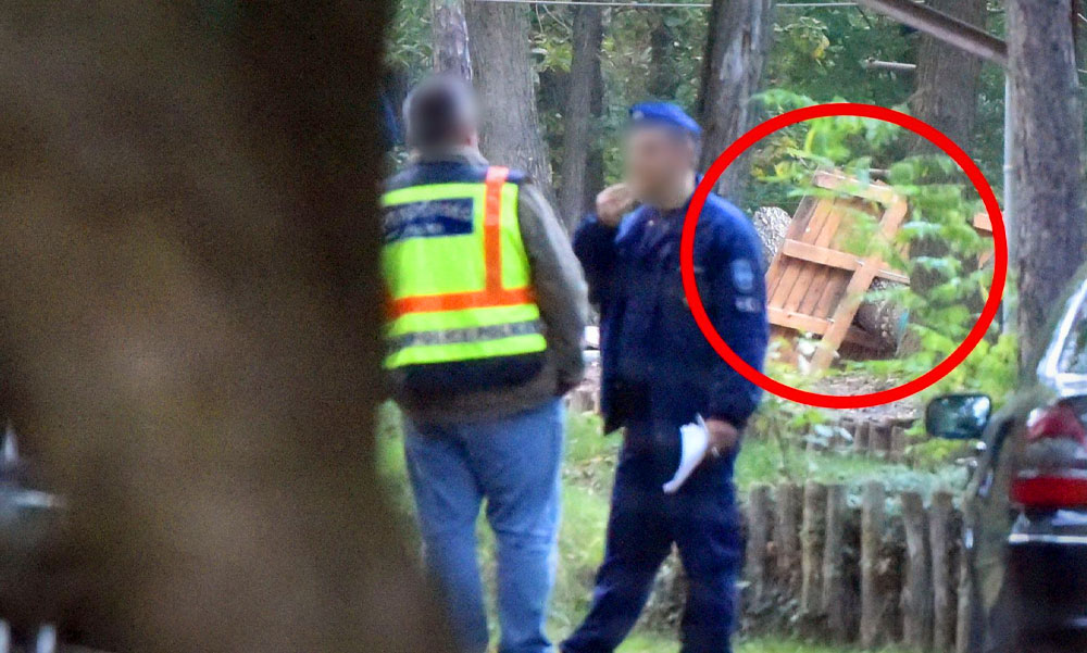 Halálos baleset a kalandparkban! Egy 16 éves fiú vesztette életét, amikor egy kidőlt fa a földre rántotta a kötélpályát