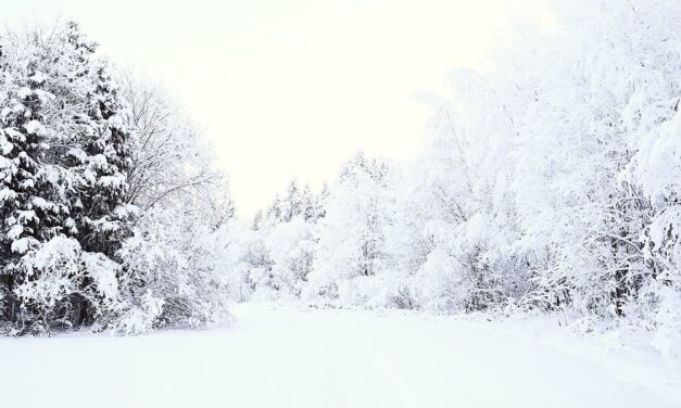 Durva fennakadásokat okozott a mátrai hó