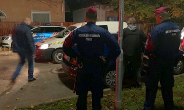 Kettős emberölés Budapesten, saját édesanyját és annak élettársát gyilkolta meg a férfi