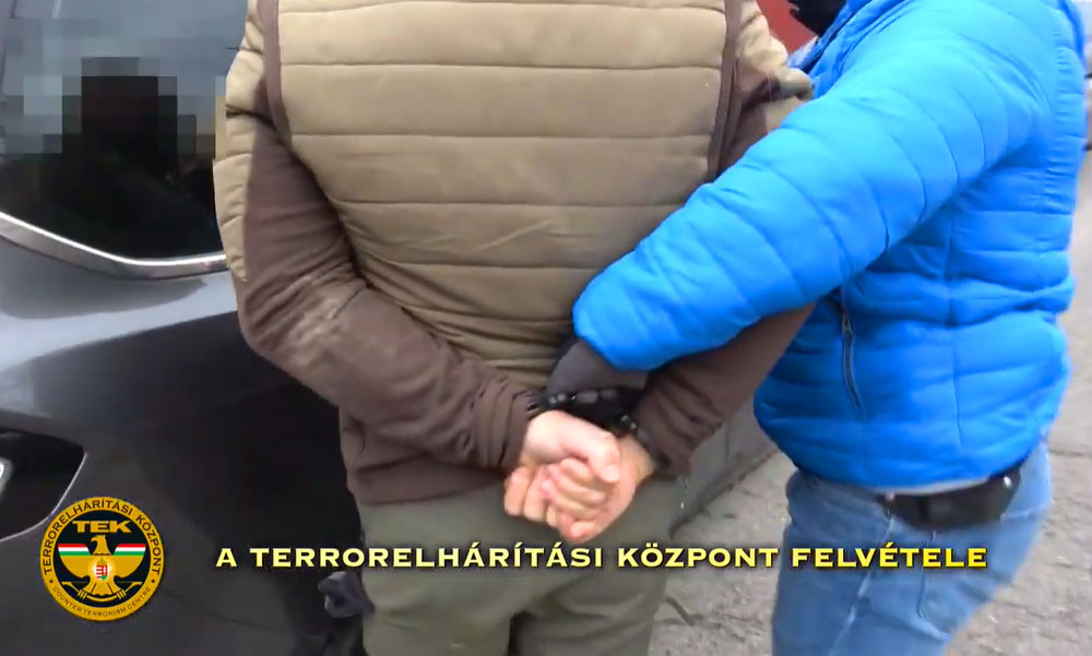 Hatalmas drogfogás Budafokon: Óriási kannabisz ültetvényt lepleztek le, fegyver is volt a termesztőnél