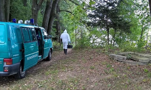 „Múlt héten értesített a rendőrség arról, hogy megtalálták a földi maradványait, így a remény akkor halt meg számunkra” – megszólalt a 11 éve eltűnt focista felesége