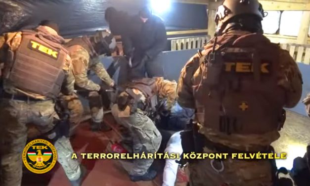 Élet-halál harcra tenyésztették és kegyetlen módszerekkel képezték ki a kutyákat, lecsaptak rájuk a kommandósok