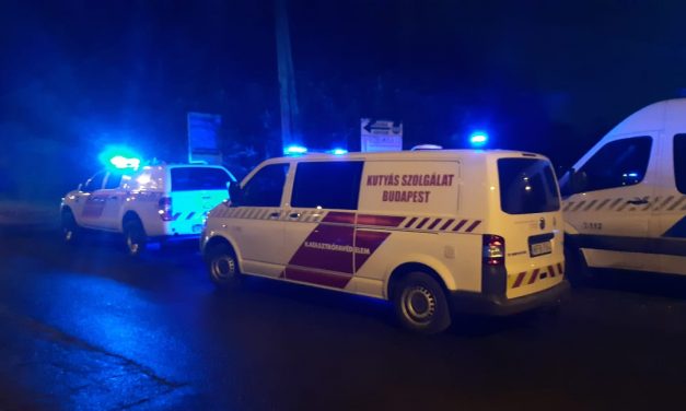 Tűz ütött ki Budapesten, egy 10. kerületi telephelyen, gázpalackok robbantak az épületben