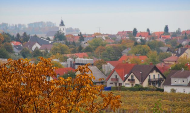 Elképesztő mit művelt a gátlástalan asszony a bácsival, kisemmizte, eladta mindenét majd bedugta az öreget egy albérletbe