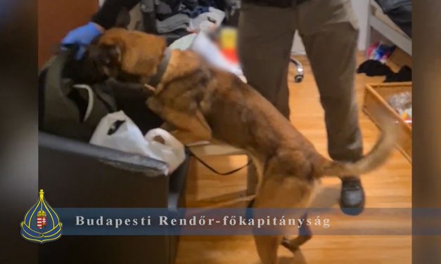 Óriási drogfogás: 1500 adag kábítószert találtak a rendőrök 3 budapesti fiatalnál