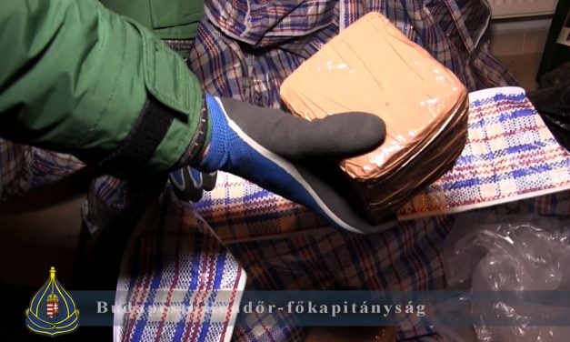 Drogarzenált találtak egy solymári dílernél, több mint 140 kilogramm kábítószert foglaltak le a rendőrök