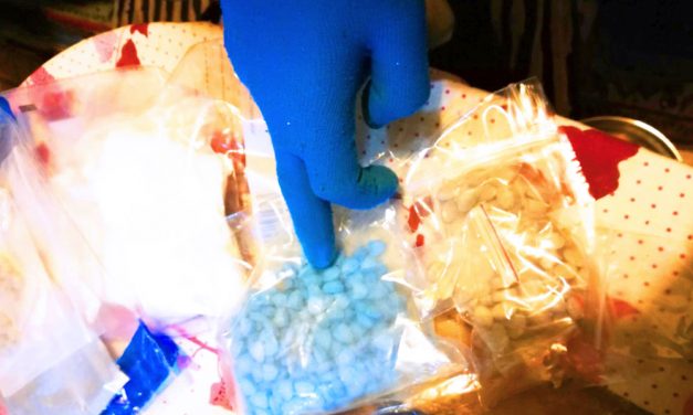 A szomszéd telekre dobták át a többszáz darabos extasycsomagot amikor lecsaptak rájuk a rendőrök